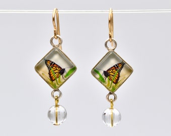 Monarch Butterfly  Photo  Earrings