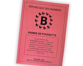 Toddler Republic Stroller License - Perfect gift for expectant parents or loved ones