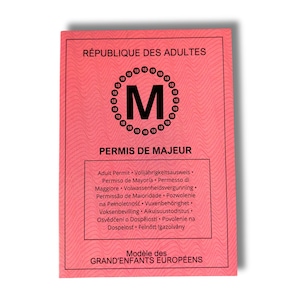 Permis de Majeur : Cadeau original pour fêter les 18 ans et la majorité - Fêtes de Diplôme, Anniversaires Majeurs et Occasions Spéciales