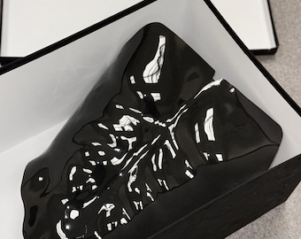 May include: A glossy black sculptural object with an organic, leaf-like shape featuring deep ridges and a reflective surface, presented inside a rectangular black box with a white interior and a separate matching lid resting nearby.
