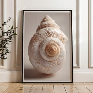 May include: A framed print featuring a detailed close-up of a large, spiral-shaped seashell. The shell displays a range of beige and cream tones, with intricate textures and patterns. The artwork is set against a neutral background.