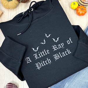Embroidered A Little Ray of Pitch Black Hoodie | Sarcasm Shirt | Funny Gift for Friend Birthday | Halloween Shirt Dark Humor