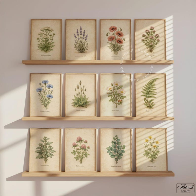 Vintage Botanical Print Set of 16, Printable Flowers Art, Farmhouse ...