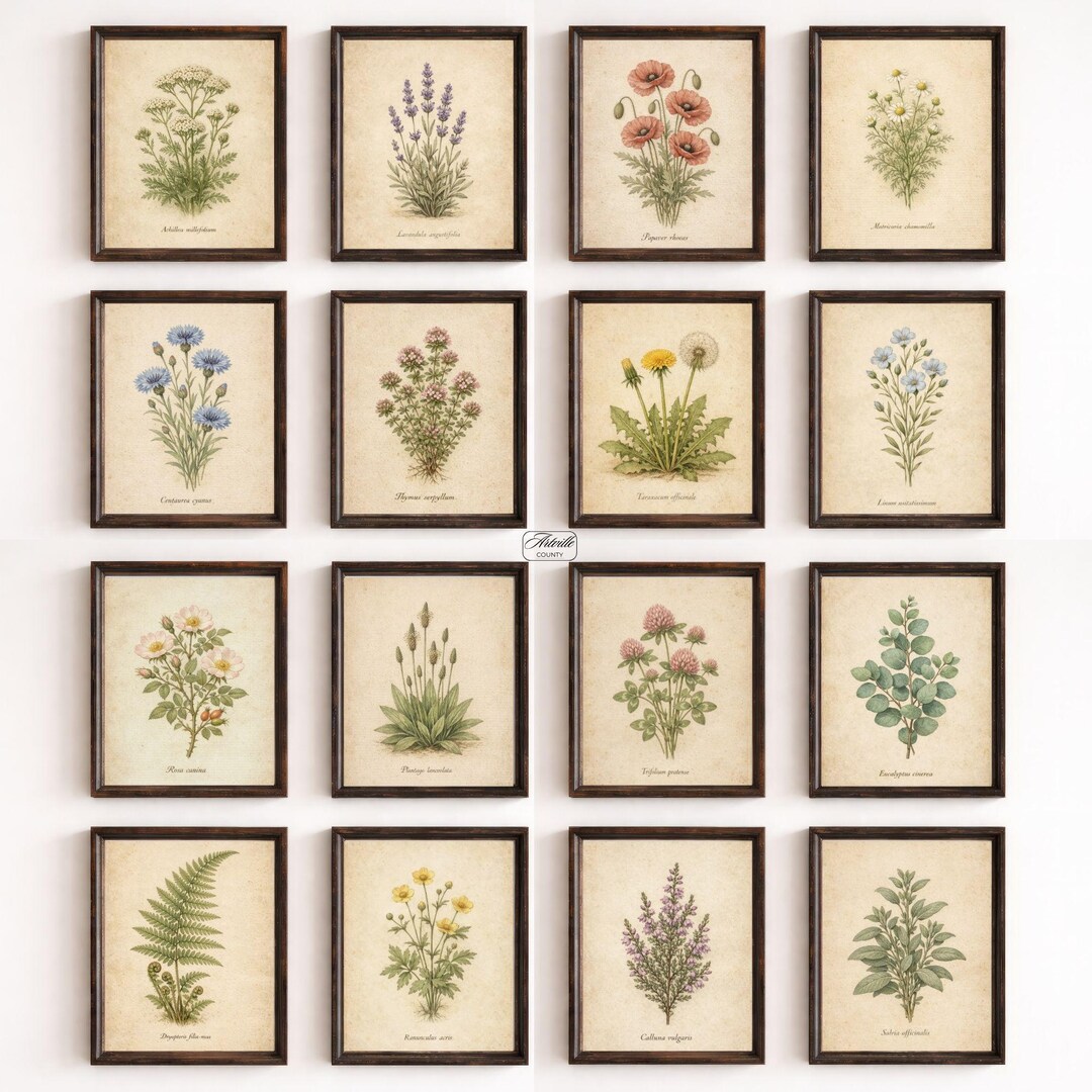 Vintage Botanical Print Set of 16, Printable Flowers Art, Farmhouse ...