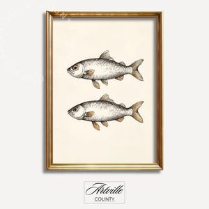 May include: A framed print with two detailed illustrations of fish. The fish are drawn in a vintage style with fine lines and shading, showing their scales, fins, and tails. The artwork is set against a cream background, framed in a gold-coloured frame.
