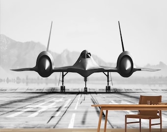 May include: Black and white image of a SR-71 Blackbird aircraft on a runway. The jet is centered, with wings extended, and landing gear down. Mountains and a body of water are in the background. The image is a wallpaper.