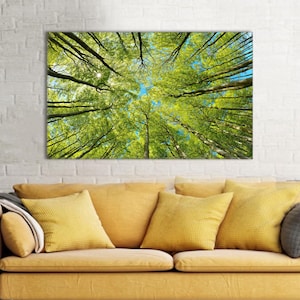 May include: A canvas print of a forest canopy, viewed from below. The image captures the vibrant green leaves of the trees against a bright blue sky. The artwork is displayed above a yellow sofa with matching pillows, creating a nature-inspired living room.