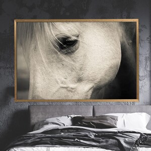 Horse Poster, Canvas Gift Personalized, Animal Wall Decor, White Horse Artwork, Man Cave Wall Decor, Holiday Decor Art, Office Decor,