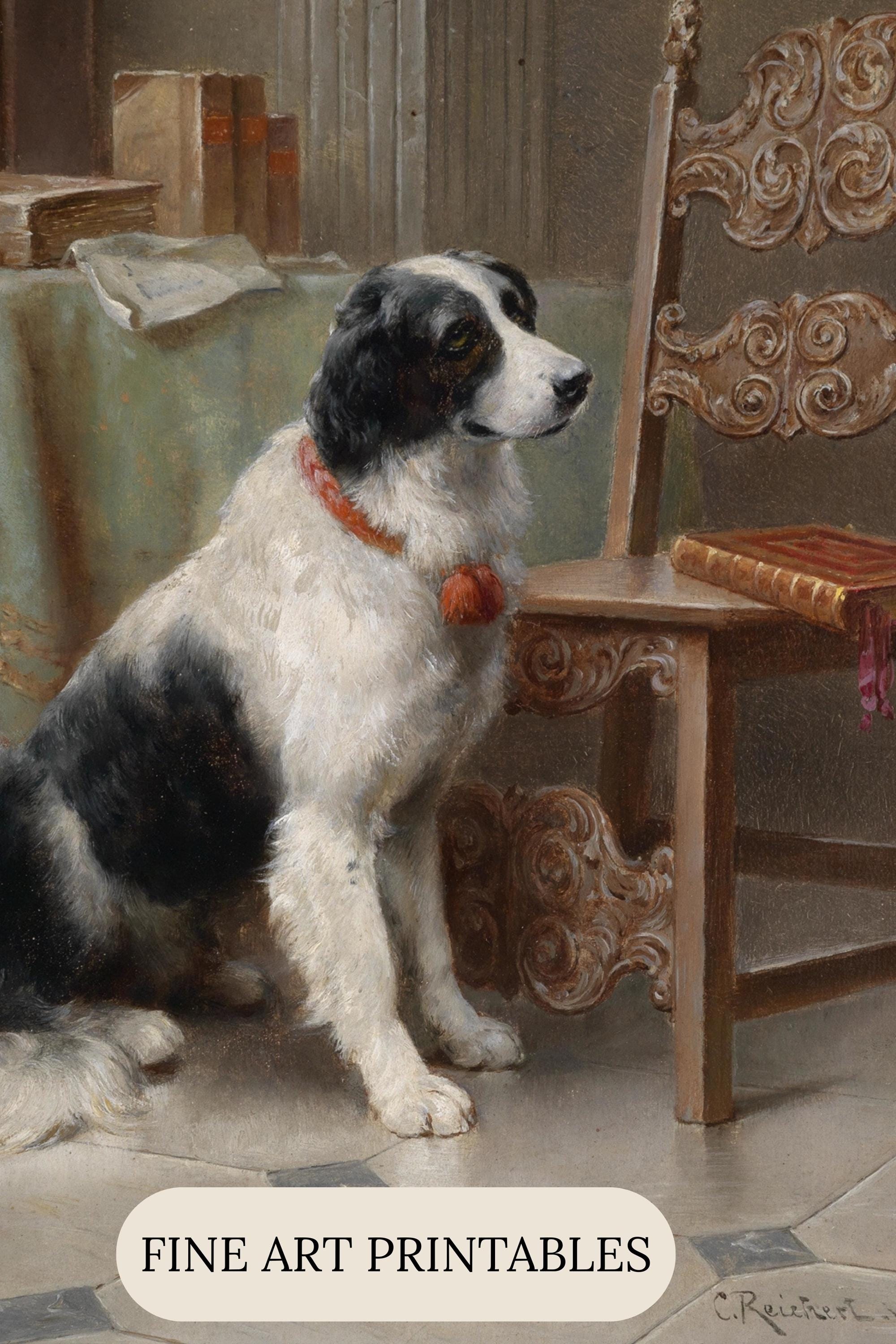 Untitled, image size:2000x3000