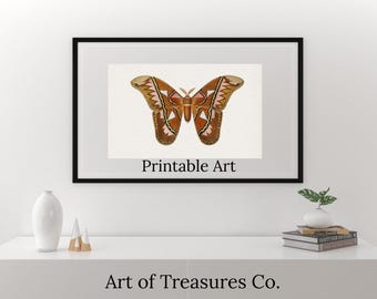 Puede incluir: Una impresión enmarcada que presenta una ilustración detallada de una mariposa marrón y beige con intrincados patrones de alas. La obra de arte está etiquetada como "Printable Art" y se muestra sobre un fondo blanco. La imagen está enmarcada en negro.