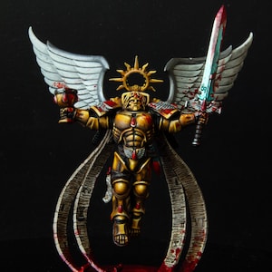Pro painted grimmdark Blood angels Sanguinor