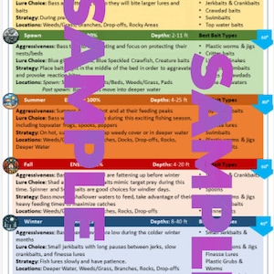 Op de afbeelding: Een kleurrijk diagram met een baarsvissen-cheat sheet. Het diagram is verdeeld in secties voor de verschillende seizoenen, met informatie over de agressiviteit van de baars, de keuze van aas, de strategieën en de locaties. Het diagram bevat ook een sectie over de beste aas-typen voor elk seizoen.
