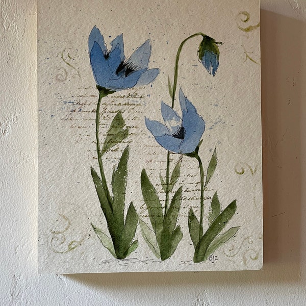 Himalayan Blue Poppy - Etsy