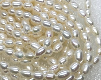 AAA+ white 4.5mmX6mm Oval Rice Freshwater Pearl Full strand 15" 65 pieces rice seeds genuine pearl beads for designer DIY--DR3004A