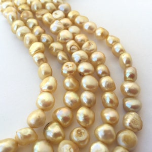 SALE Corn Pearl Baroque Pearl Freshwater Pearl yellow champagne 7-8mm, 15” full strand 45+ pcs #CB6058