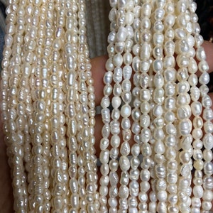 Seed Pearl Baroque Rice Pearl Freshwater Pearl Ivory White 2.5mm 3-3 ...