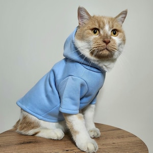 Warm Cat Sweater: Winter Pet Clothes, Sphynx Accessories