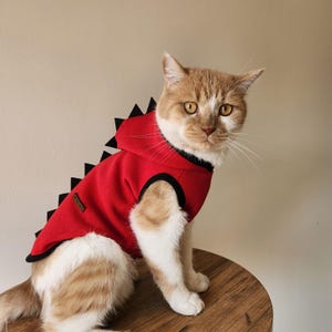 Handmade Cat Sweater Etsy
