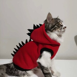 Clothing for Cats Etsy Ireland