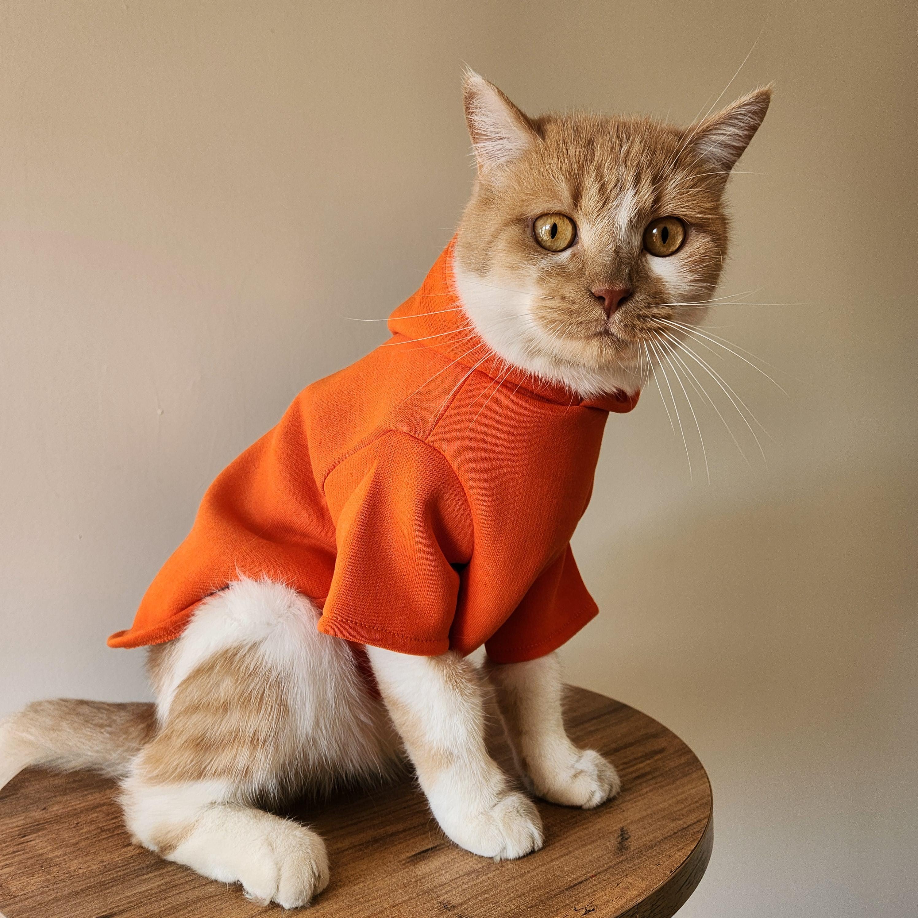 open lace back dress Halloween Cat Face Dog Dress main image 1