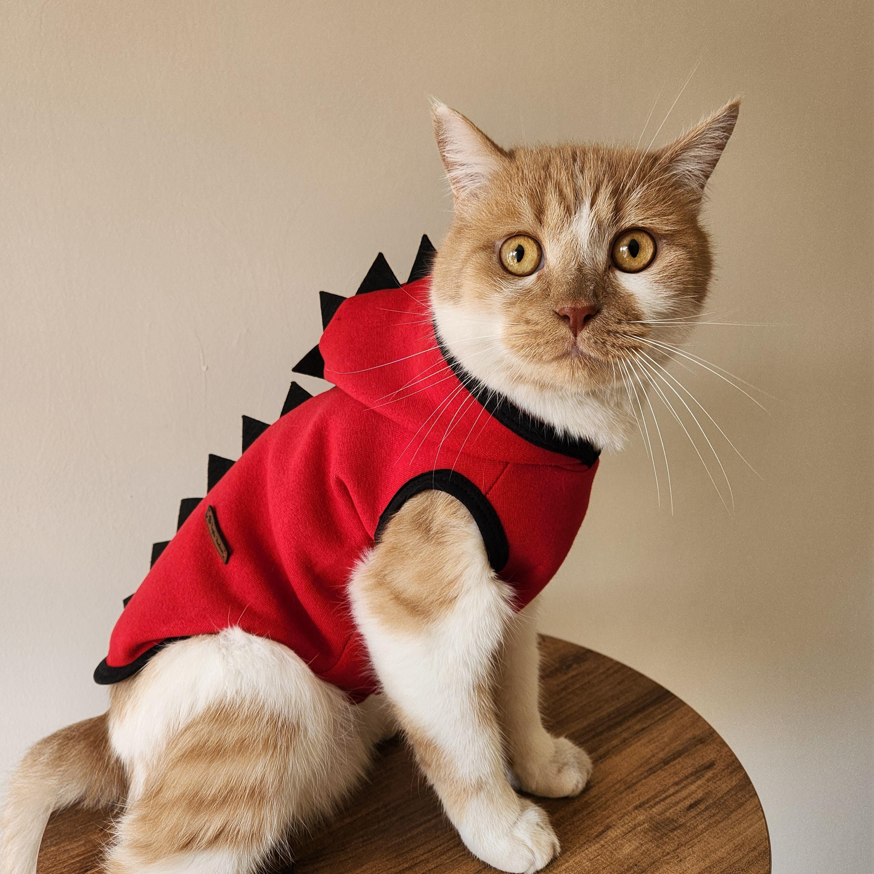 Handmade Cat Sweater Etsy