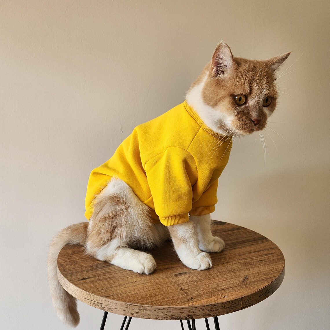 Curated visual reference: Custom Sphynx Cat Sweater Soft Warm Cat Hoodie For Cold Photo Inspiration