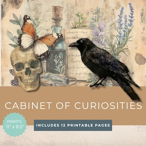 Junk Journal Kit - Cabinet of Curiosities - Oddities Ephemera - Science History Printables - Spooky Victorian Papers