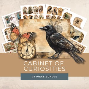 Cabinet of Curiosities Printable Kit - Vintage Science Ephemera - Victorian Junk Journal Kit - Field Notes