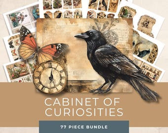 May include: A collection of vintage-style ephemera featuring a black raven, a butterfly, and a clock. The words "CABINET OF CURIOSITIES" are displayed, along with "77 PIECE BUNDLE". The color palette includes brown, beige, and touches of orange.