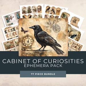 Kit stampabile Cabinet of Curiosities - Effimere scientifiche d'epoca - Kit diario vittoriano - Appunti di campo