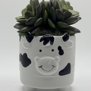 May include: A white ceramic cow-shaped planter with black spots and a smiling face, filled with a dark green succulent plant. The planter has three small feet. The plant pot is suitable for indoor use.