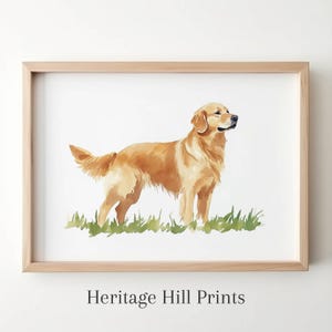 Golden Retriever Watercolor, Golden Retriever Portrait, Golden Retriever Painting, Golden Retriever Art, Gift, Pet Loss, Art Print, Gift