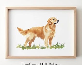 May include: A watercolor painting of a golden retriever standing in a field of green grass. The dog is looking to the right of the image.