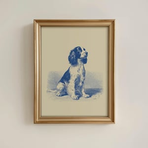 English Springer Spaniel Pen and Ink Art Print, Vintage English Springer Spaniel Portrait, Gift, Illustration