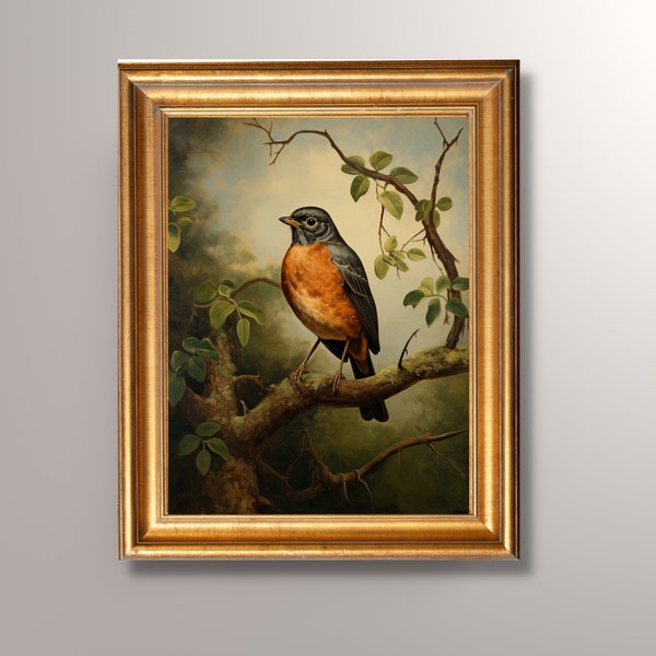 impression d'art vintage de Robin, art ancien d'oiseau, art cottagecore, art mural universitaire, portrait de Robin, impression d'oiseau, peinture de Robin, créature des bois