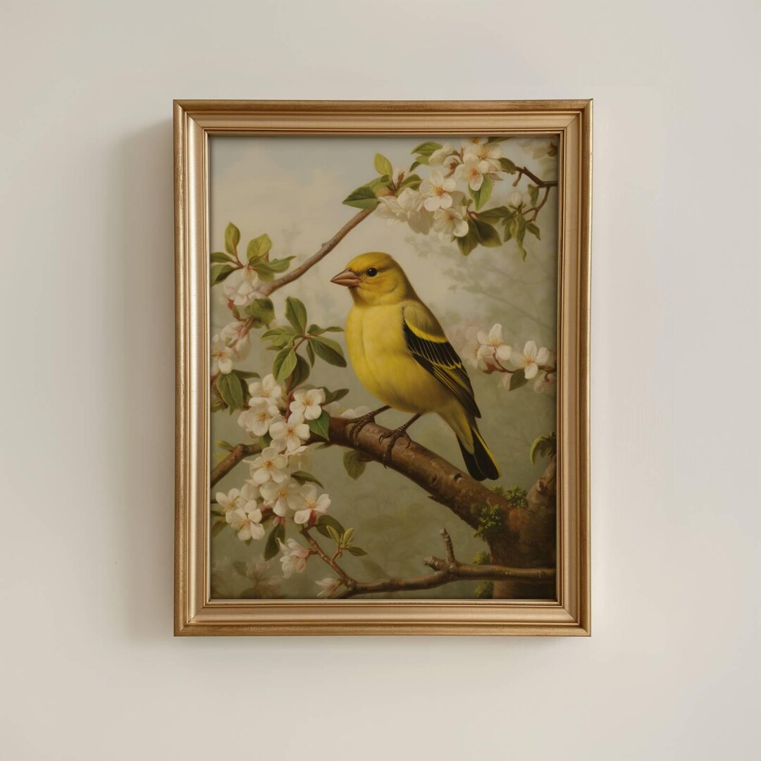 Vintage American Goldfinch Art Print: Antique Bird Painting - Etsy