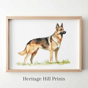 German Shepherd Watercolor Print, German Shepherd Art Print, German Shepherd Portrait, Pet Portrait, Pet Loss, Gift