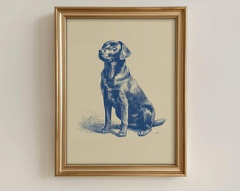Peut inclure: Impression d'art encadrée d'un Labrador Retriever bleu sur fond beige. Le chien est représenté assis, dans un style gravé. Le cadre est de couleur dorée.