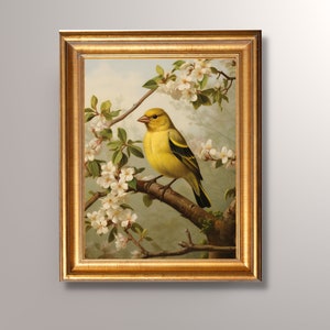 Stampa artistica vintage di cardellino americano, dipinto di uccello antico, stampa d'arte antica, arte murale di uccelli, arte murale vintage, creatura del bosco, arte di uccelli