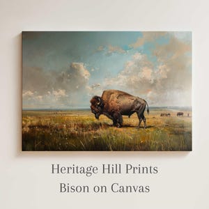 Antique Bison Canvas Print: Western Rustic Decor