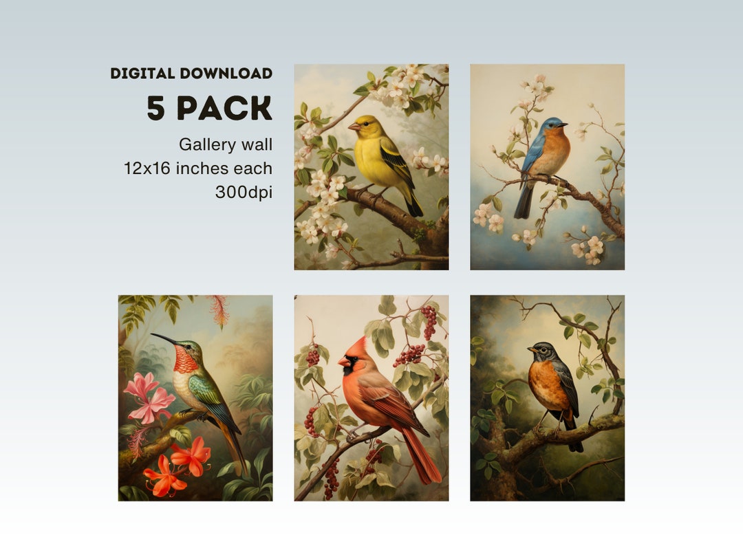Vintage Birds Wall Art Digital 5 Pack, Antique Style, Cardinal, Robin