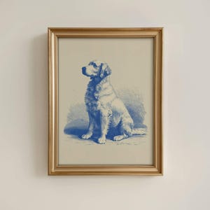 Golden Retriever Pen and Ink Art Print, Vintage Golden Retriever Portrait, Gift, Illustration, Drawing
