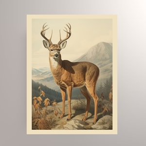 Deer Naturalist Illustration Print, Woodland Creature Print, Deer Art Print, Forest Critter Print, Deer Print, Deer Illustration, Buck Print