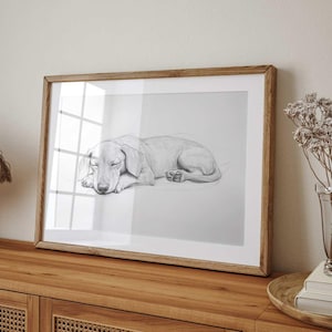 Dachshund Sketch Art Print: Sleeping Dog Portrait