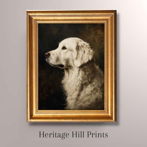 Vintage White Golden Retriever Fine Art Print, White Golden Retriever Art, White Golden Retriever Portrait, Antique Art Print, Gift