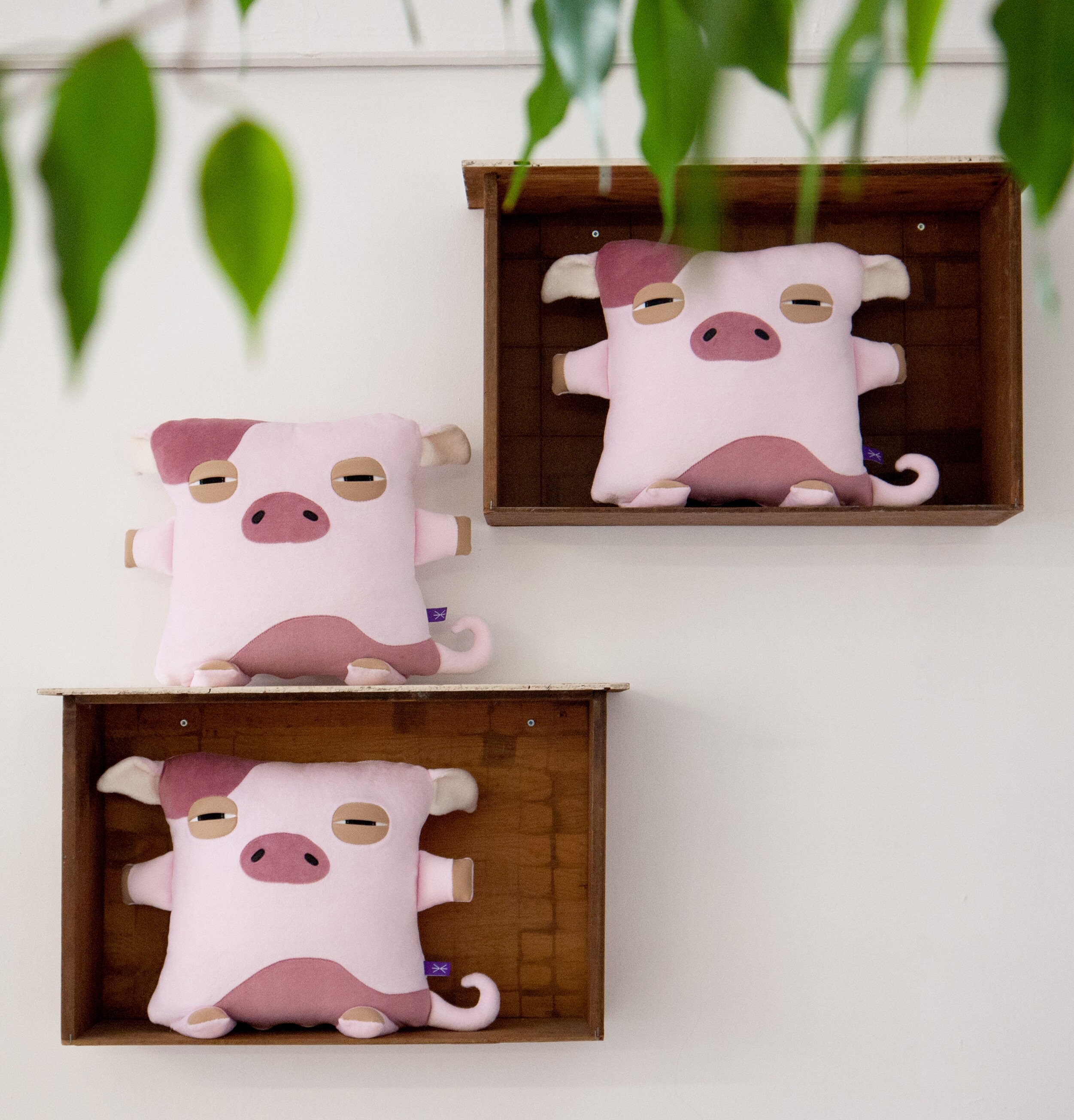 piglet pillow pet