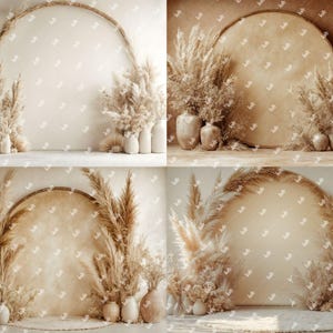 May include: Four different digital backdrops featuring a neutral beige background with a round arch or circle shape in the center. Each backdrop has dried pampas grass and other dried floral arrangements in front of the arch or circle.