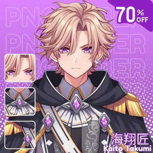CUSTOM PNGTuber | PNGtuber, Custom PNGtuber Model Commission, Pngtuber Commission, Cute Anime PNGTuber Avatar, model pngtuber