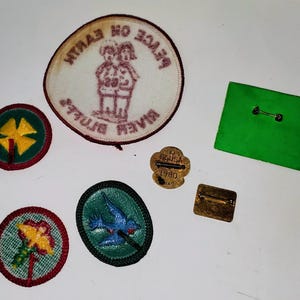 K&ouml;nnte beinhalten: Eine Sammlung von Vintage-Aufn&auml;hern und Anstecknadeln, darunter eine gr&uuml;ne quadratische Anstecknadel, eine goldene Anstecknadel mit "GSA USA 1980" und mehrere gestickte Aufn&auml;her mit Blumen- und Vogelmotiven. Ein Aufn&auml;her lautet "Peace on Earth River Bluffs".