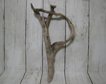 Driftwood alphabet letter P, nature made letters